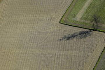 1° Fase - Preparazione dei terreni (Aratura e Concimazione)