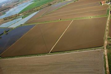 1° Fase - Preparazione dei terreni (Aratura e Concimazione)