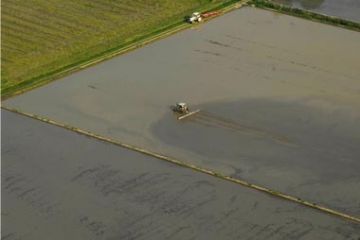 1° Fase - Preparazione dei terreni (Aratura e Concimazione)