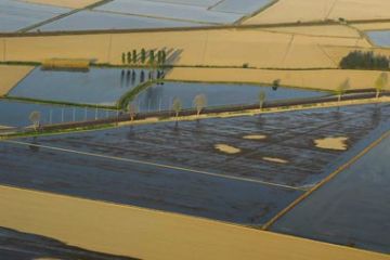 1° Fase - Preparazione dei terreni (Aratura e Concimazione)