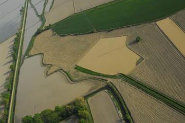 1° Fase - Preparazione dei terreni (Aratura e Concimazione)